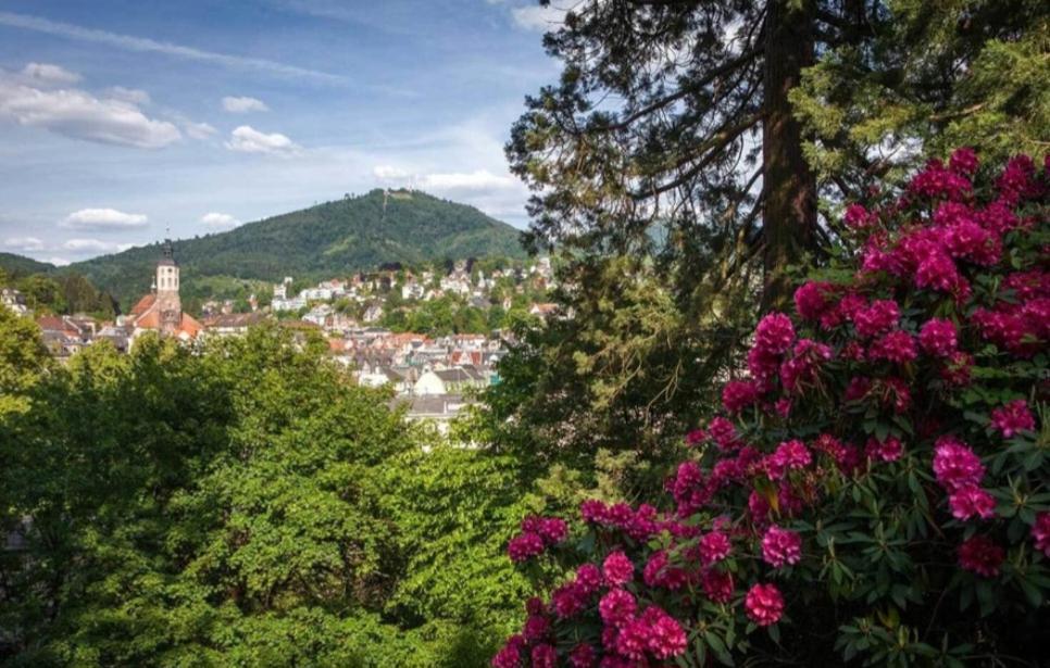 A&A Apartment Baden-Baden Buitenkant foto